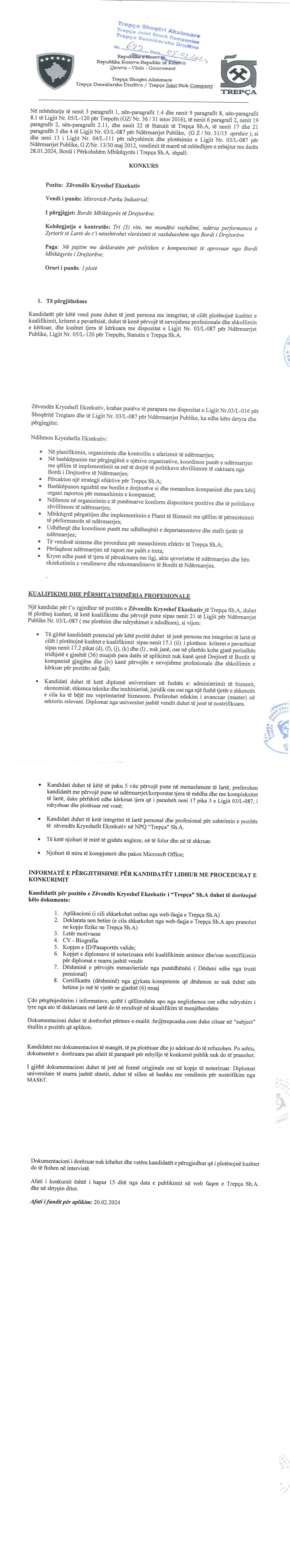 Zëvendës Kryeshef Ekzekutiv